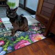 ヒメ日記 2026/04/05 17:37 投稿 みのり♡SS級モデル美女 CURE（辻）