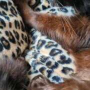 ヒメ日記 2026/04/07 10:17 投稿 みのり♡SS級モデル美女 CURE（辻）