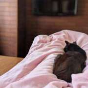 ヒメ日記 2026/04/11 18:41 投稿 みのり♡SS級モデル美女 CURE（辻）