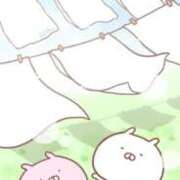 ヒメ日記 2026/06/15 14:17 投稿 みのり♡SS級モデル美女 CURE（辻）