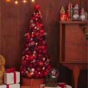 ヒメ日記 2025/12/24 10:28 投稿 なつ♥SS級記憶に残る美女☆ CURE（辻）