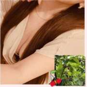 ヒメ日記 2025/04/01 17:57 投稿 ゆきな♥SS級美女が電撃復帰！◆ CURE（辻）