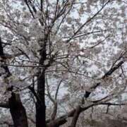 ヒメ日記 2026/04/04 20:30 投稿 ゆり 熟女の風俗最終章 蒲田店