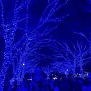 ヒメ日記 2025/12/21 19:36 投稿 あや an_an（アンアン）