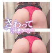 ヒメ日記 2025/03/22 16:31 投稿 春咲ゆら【OL委員会】 柏OL委員会