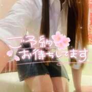 ヒメ日記 2025/06/14 10:10 投稿 春咲ゆら【OL委員会】 柏OL委員会