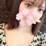 ヒメ日記 2025/08/15 15:38 投稿 さくら アラモード