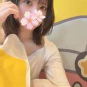 ヒメ日記 2025/09/24 15:02 投稿 さくら アラモード