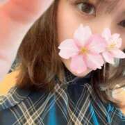 ヒメ日記 2025/09/29 12:55 投稿 さくら アラモード