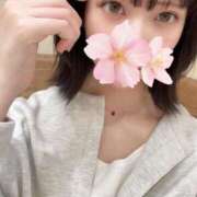 ヒメ日記 2025/10/02 01:03 投稿 さくら アラモード