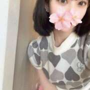 ヒメ日記 2025/10/06 14:47 投稿 さくら アラモード