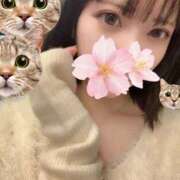 ヒメ日記 2025/10/07 13:52 投稿 さくら アラモード