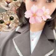 ヒメ日記 2025/10/08 15:53 投稿 さくら アラモード