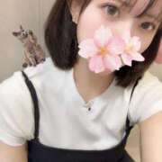 ヒメ日記 2025/10/09 10:01 投稿 さくら アラモード