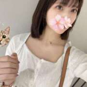 ヒメ日記 2025/10/09 17:37 投稿 さくら アラモード