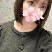 ヒメ日記 2025/10/12 18:11 投稿 さくら アラモード