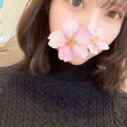 ヒメ日記 2025/10/17 14:22 投稿 さくら アラモード