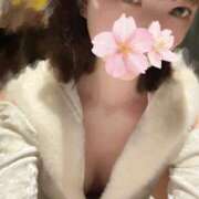 ヒメ日記 2025/10/20 02:24 投稿 さくら アラモード