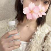 ヒメ日記 2025/10/21 15:51 投稿 さくら アラモード