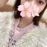 ヒメ日記 2025/10/22 17:17 投稿 さくら アラモード