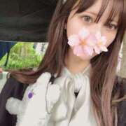 ヒメ日記 2025/10/24 15:33 投稿 さくら アラモード