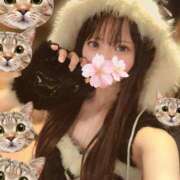 ヒメ日記 2025/10/26 23:00 投稿 さくら アラモード