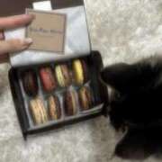 ヒメ日記 2025/10/26 23:15 投稿 さくら アラモード