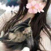 ヒメ日記 2025/10/28 14:37 投稿 さくら アラモード