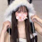 ヒメ日記 2025/10/29 18:01 投稿 さくら アラモード