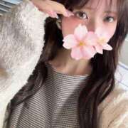 ヒメ日記 2025/11/03 16:10 投稿 さくら アラモード