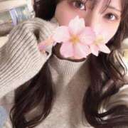 ヒメ日記 2025/11/04 18:40 投稿 さくら アラモード