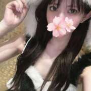 ヒメ日記 2025/11/06 21:10 投稿 さくら アラモード