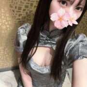 ヒメ日記 2025/11/10 13:52 投稿 さくら アラモード