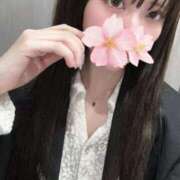 ヒメ日記 2025/11/12 10:35 投稿 さくら アラモード