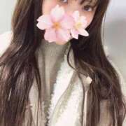 ヒメ日記 2025/11/12 18:30 投稿 さくら アラモード