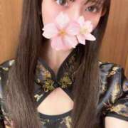 ヒメ日記 2025/11/14 00:15 投稿 さくら アラモード