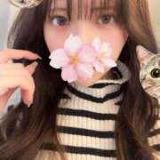 ヒメ日記 2025/11/14 15:10 投稿 さくら アラモード