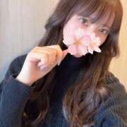 ヒメ日記 2025/11/15 16:01 投稿 さくら アラモード