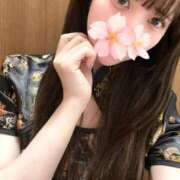 ヒメ日記 2025/11/19 14:35 投稿 さくら アラモード