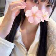 ヒメ日記 2025/11/21 10:14 投稿 さくら アラモード