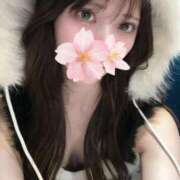 ヒメ日記 2025/11/25 13:38 投稿 さくら アラモード