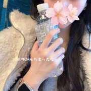 ヒメ日記 2025/11/26 06:32 投稿 さくら アラモード