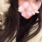 ヒメ日記 2025/11/26 19:29 投稿 さくら アラモード