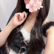 ヒメ日記 2025/11/27 15:38 投稿 さくら アラモード