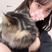 ヒメ日記 2025/11/27 22:30 投稿 さくら アラモード