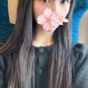 ヒメ日記 2025/12/03 16:44 投稿 さくら アラモード