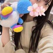 さくら 今日もありがとうございました💭 アラモード