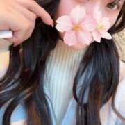 さくら 明日朝でます🌞 アラモード