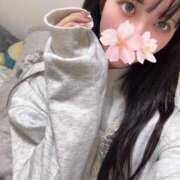 ヒメ日記 2025/12/11 01:52 投稿 さくら アラモード