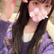 ヒメ日記 2025/12/11 14:35 投稿 さくら アラモード